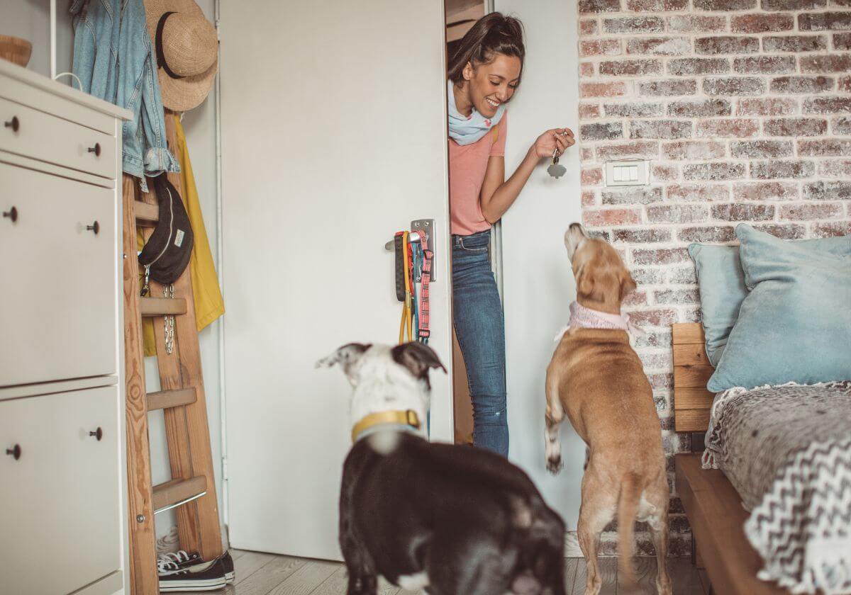 Pet Sitting Babá de Animais Pet Sitter Babá de Animais