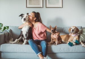 Pet Sitter Babá de Animais