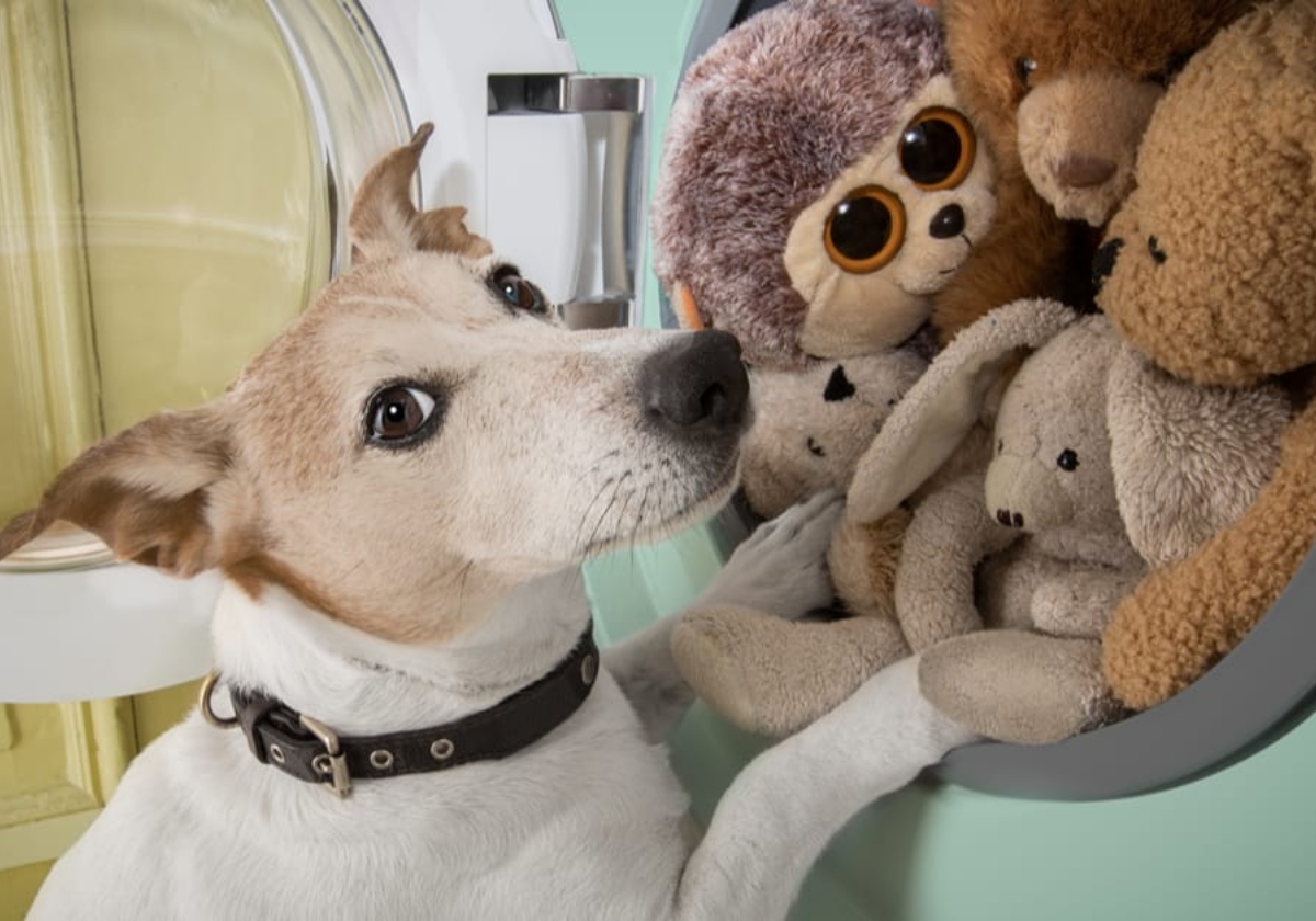 brinquedo sujo de cachorro como lavar