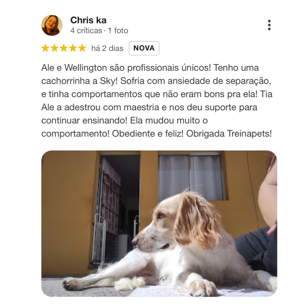adestramento de caes depoimento feedback positivo