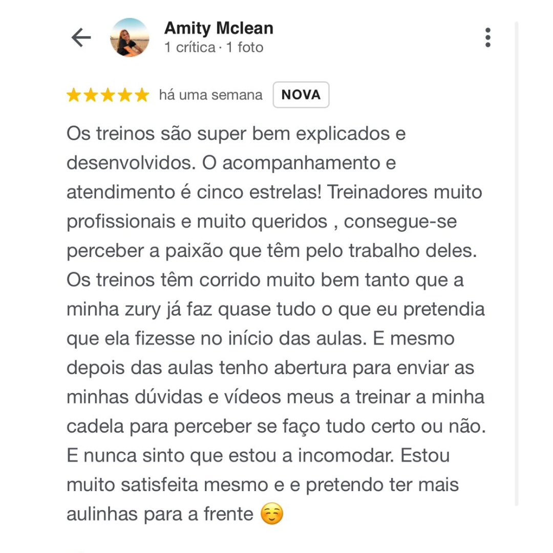 adestramento de caes depoimento feedback positivo