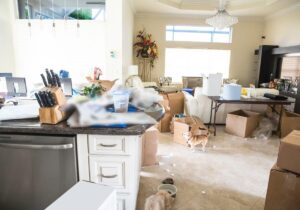 Cães Mudança de Casa