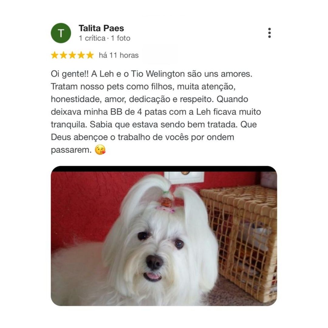 pet sitter aqui perto serviço<br />
pet sitter,como se tornar um pet sitter,o que é pet sitter,trabalho de pet sitter<br />
onde deixar meu cachorro<br />
pet sitting,pet sitter,how to start a pet sitting business,pet sitting tips,cat sitting,dog sitting,make money pet sitting,how to be a pet sitter,how much money from pet sitting,how to start pet sitting on rover,pet business,house sitting,pet sitting job,pet sitting vlog,pet sitting jobs,pet sitting apps,pet sitter advice,pet sitting hacks,pet sitting advice,pet sitting service,pet setting<br />
pet sitting,portugal,pet sitter,house sitting,pet sitting portugal,house sitting in portugal,house sitting portugal,pet sitting app,pet sitting algarve,pet sitting abroad,house sitting algarve portugal,pet sitting tips,o que é pet sitting,pet sitting na alemanha,pet sitting business,pet sitting como funciona,pet sitting business tips,pet sitters,pet sitting business coach,central portugal,how to start a pet sitting business?,o que é pet sitter, serviço de pet sitting em Portugal, serviço de petsitter em portimao , serviço de pet sitter no algarve, alguém para cuidar do meu gato , preciso de alguém para cuidar do meu cao, vou viajar meu cachorro deixo onde<br />
