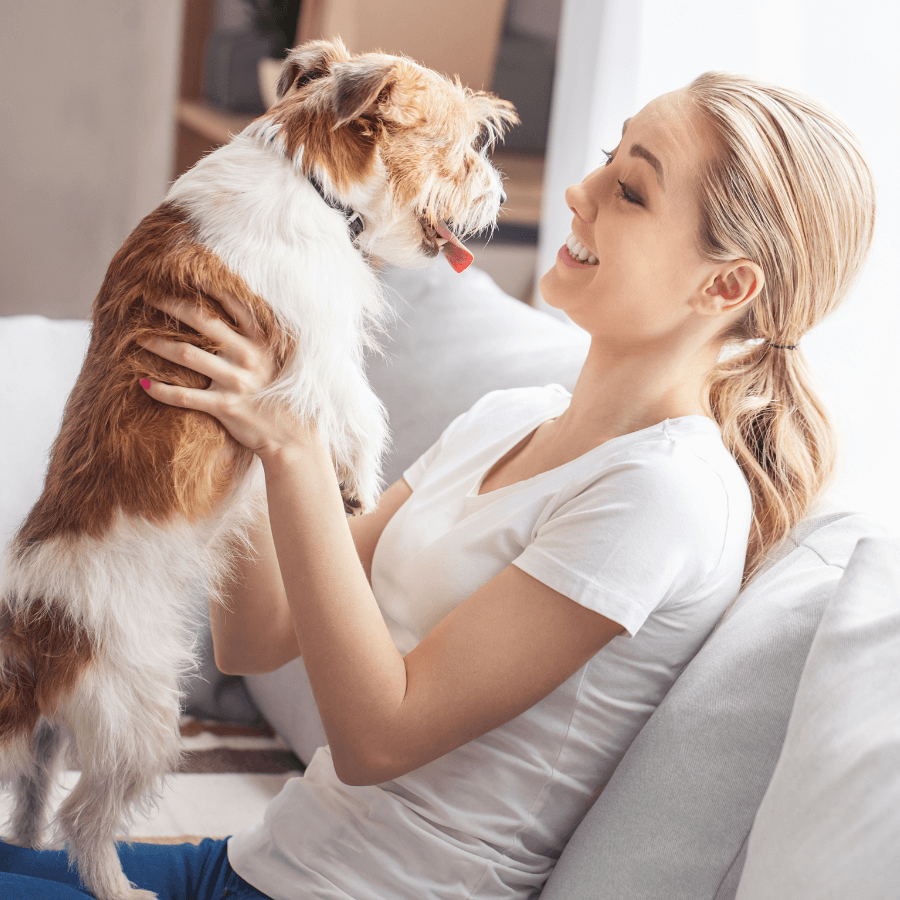 pet sitter aqui perto serviço<br />
pet sitter,como se tornar um pet sitter,o que é pet sitter,trabalho de pet sitter<br />
onde deixar meu cachorro<br />
pet sitting,pet sitter,how to start a pet sitting business,pet sitting tips,cat sitting,dog sitting,make money pet sitting,how to be a pet sitter,how much money from pet sitting,how to start pet sitting on rover,pet business,house sitting,pet sitting job,pet sitting vlog,pet sitting jobs,pet sitting apps,pet sitter advice,pet sitting hacks,pet sitting advice,pet sitting service,pet setting<br />
pet sitting,portugal,pet sitter,house sitting,pet sitting portugal,house sitting in portugal,house sitting portugal,pet sitting app,pet sitting algarve,pet sitting abroad,house sitting algarve portugal,pet sitting tips,o que é pet sitting,pet sitting na alemanha,pet sitting business,pet sitting como funciona,pet sitting business tips,pet sitters,pet sitting business coach,central portugal,how to start a pet sitting business?,o que é pet sitter, serviço de pet sitting em Portugal, serviço de petsitter em portimao , serviço de pet sitter no algarve, alguém para cuidar do meu gato , preciso de alguém para cuidar do meu cao, vou viajar meu cachorro deixo onde<br />
