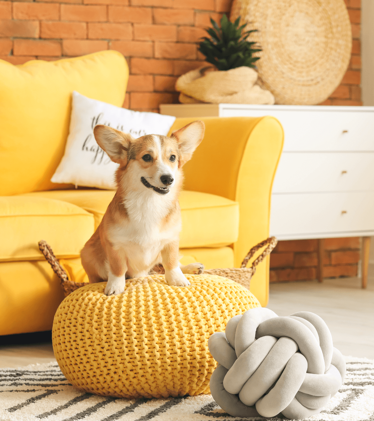 pet sitter aqui perto serviço<br />
pet sitter,como se tornar um pet sitter,o que é pet sitter,trabalho de pet sitter<br />
onde deixar meu cachorro<br />
pet sitting,pet sitter,how to start a pet sitting business,pet sitting tips,cat sitting,dog sitting,make money pet sitting,how to be a pet sitter,how much money from pet sitting,how to start pet sitting on rover,pet business,house sitting,pet sitting job,pet sitting vlog,pet sitting jobs,pet sitting apps,pet sitter advice,pet sitting hacks,pet sitting advice,pet sitting service,pet setting<br />
pet sitting,portugal,pet sitter,house sitting,pet sitting portugal,house sitting in portugal,house sitting portugal,pet sitting app,pet sitting algarve,pet sitting abroad,house sitting algarve portugal,pet sitting tips,o que é pet sitting,pet sitting na alemanha,pet sitting business,pet sitting como funciona,pet sitting business tips,pet sitters,pet sitting business coach,central portugal,how to start a pet sitting business?,o que é pet sitter, serviço de pet sitting em Portugal, serviço de petsitter em portimao , serviço de pet sitter no algarve, alguém para cuidar do meu gato , preciso de alguém para cuidar do meu cao, vou viajar meu cachorro deixo onde<br />
