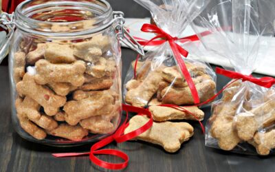 Petisco Cães Receita Caseira