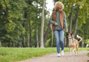 Como Socializar Seu Cão