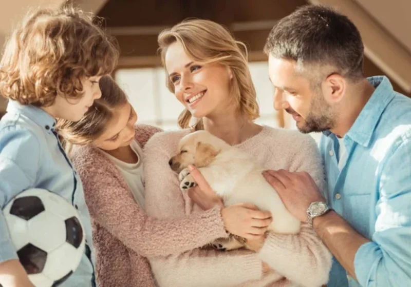 familia-feliz-chegada-filhote-adestramento (1) Transforme a convivência com seu cão! Soluções personalizadas para comportamentos indesejados. Junte-se a nós para uma jornada mais tranquila e prazerosa agora!