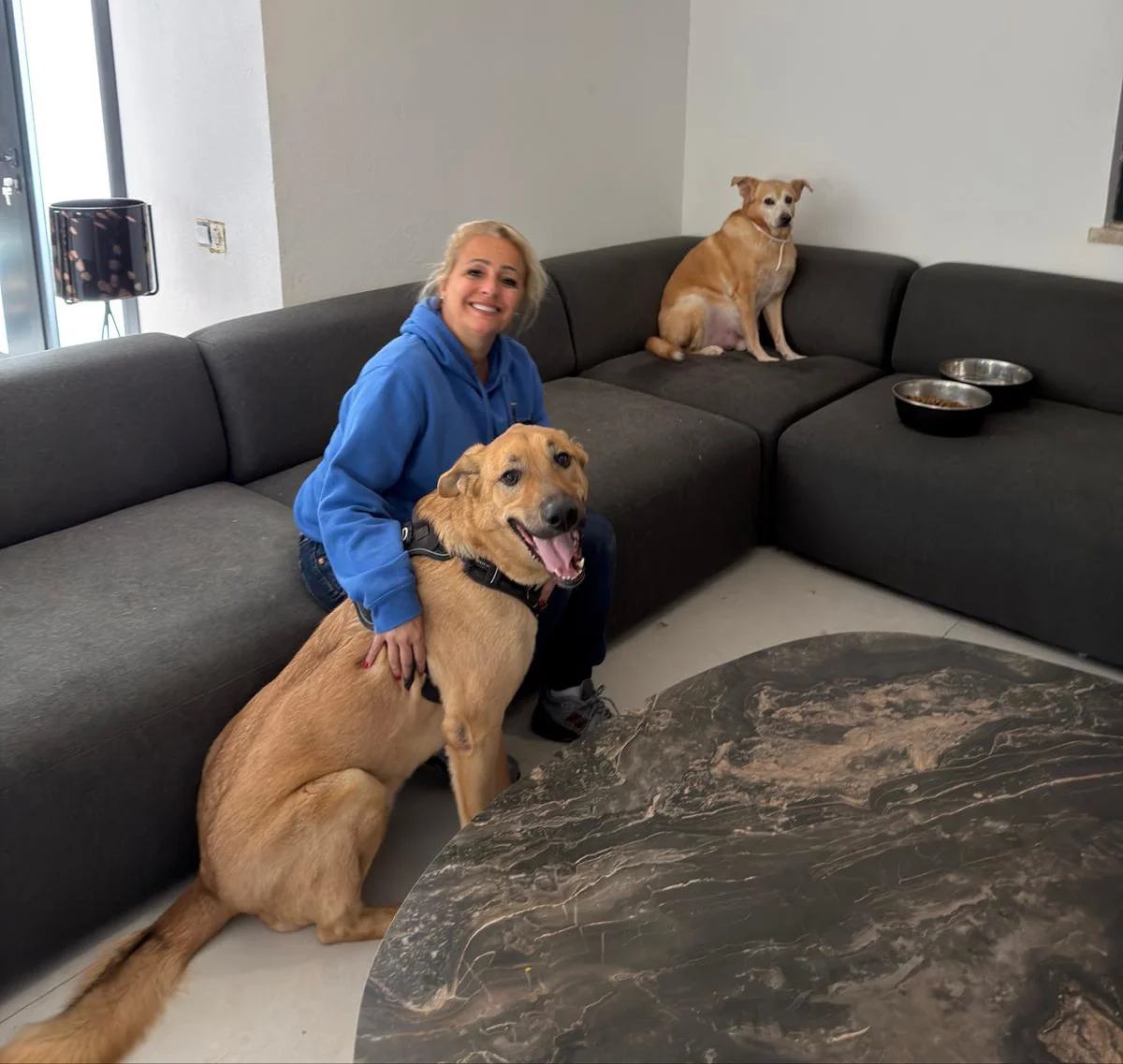 Cuidadora com dois cães numa sala durante os cuidados de Pet Sitting